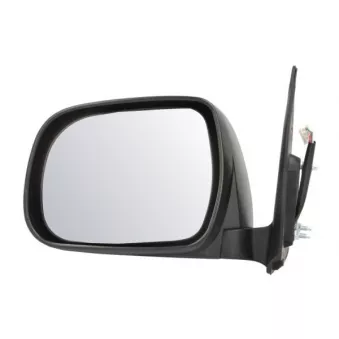 Rétroviseur extérieur BLIC 5402-19-2002495P