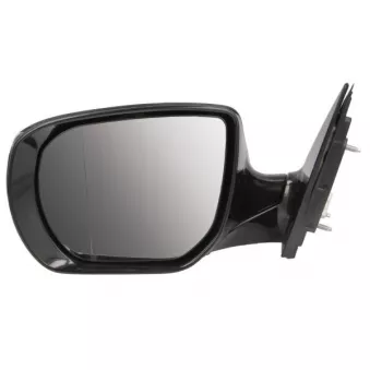 Rétroviseur extérieur BLIC 5402-20-0556312P