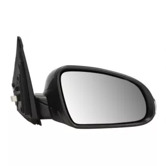 Rétroviseur extérieur BLIC 5402-20-2238311P