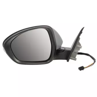 Rétroviseur extérieur BLIC 5402-22-2075310P