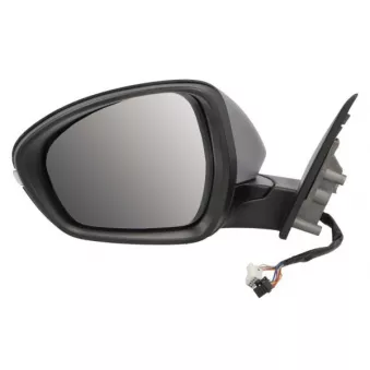 Rétroviseur extérieur BLIC 5402-22-2075312P