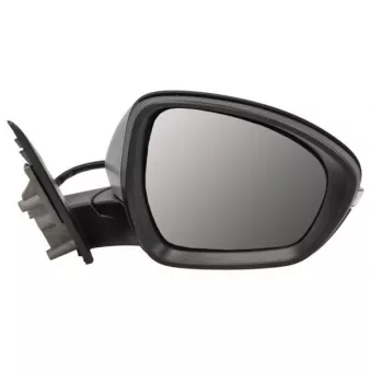 Rétroviseur extérieur BLIC 5402-22-2075313P