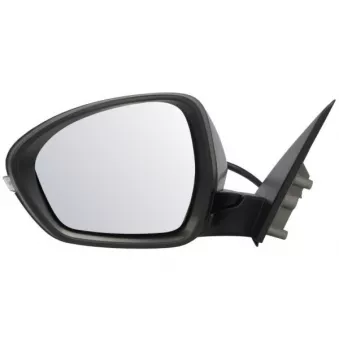 Rétroviseur extérieur BLIC 5402-22-2075318P