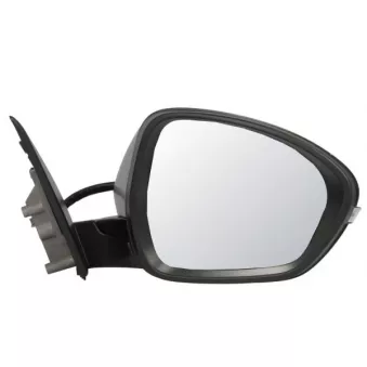 Rétroviseur extérieur BLIC 5402-22-2075319P