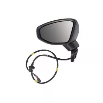 Rétroviseur extérieur BLIC 5402-25-2320312P