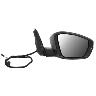 Rétroviseur extérieur BLIC 5402-43-1923317P