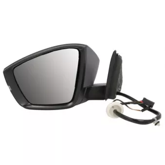 Rétroviseur extérieur BLIC 5402-43-1926322P