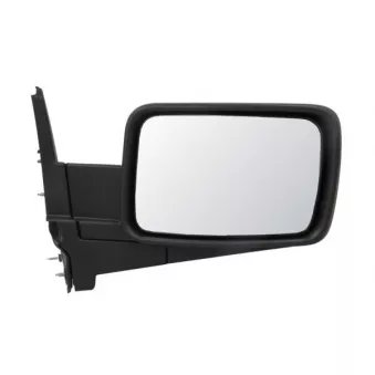 Rétroviseur extérieur BLIC 5402-55-0615311P