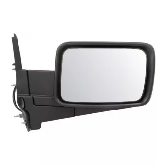 Rétroviseur extérieur BLIC 5402-55-0615313P