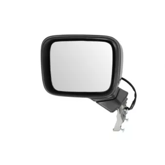 Rétroviseur extérieur BLIC 5402-55-0625310P