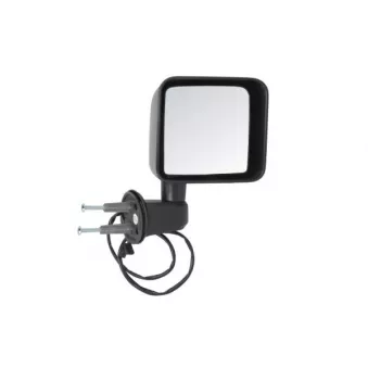 Rétroviseur extérieur BLIC 5402-55-2512311P