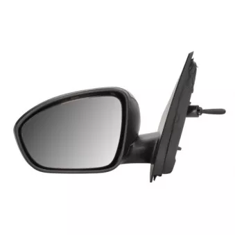 Rétroviseur extérieur BLIC 5402-67-2460353P