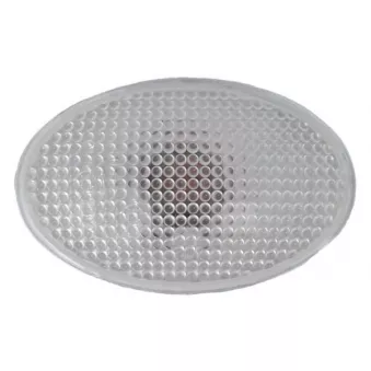 Feu clignotant avant BLIC 5403-03-0428100P