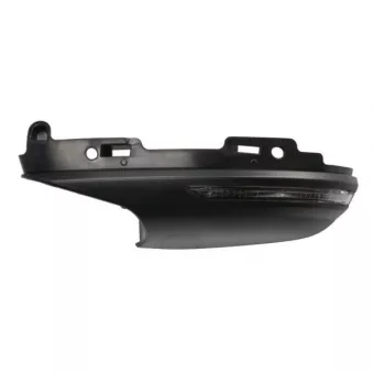 Éclairage environnement, rétroviseur BLIC 5406-09-1231105P