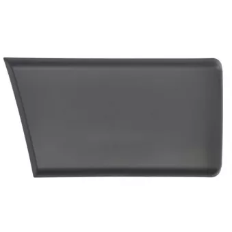 Baguette et bande protectrice, panneau latérale avant droit BLIC