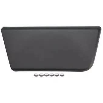 Baguette et bande protectrice, porte avant droit BLIC