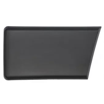 Baguette et bande protectrice, panneau latérale avant gauche BLIC