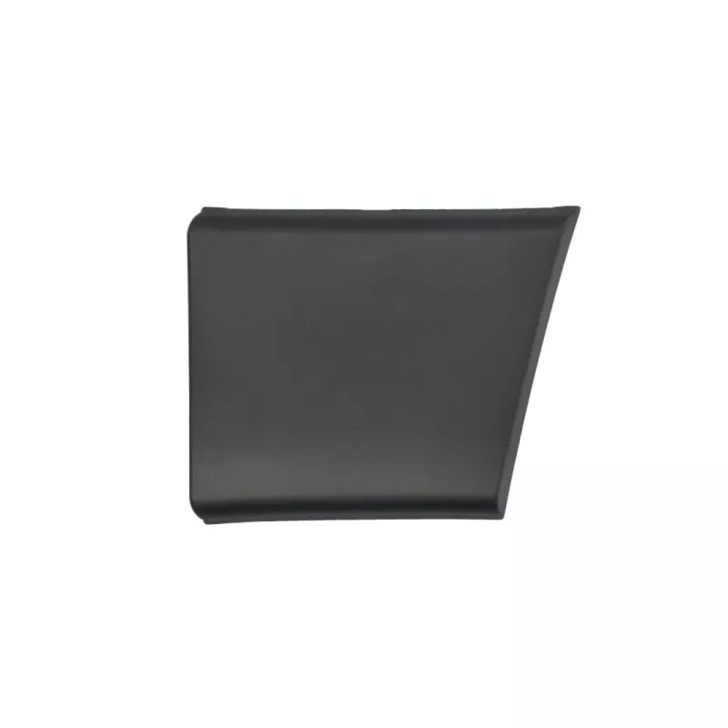 Baguette et bande protectrice, panneau latérale avant gauche BLIC 5703-04-2098577P