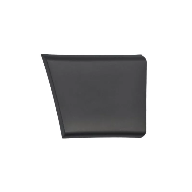 Baguette et bande protectrice, panneau latérale avant droit BLIC 5703-04-2098578P