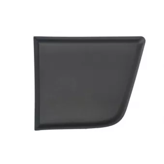 Baguette et bande protectrice, panneau latérale avant gauche BLIC