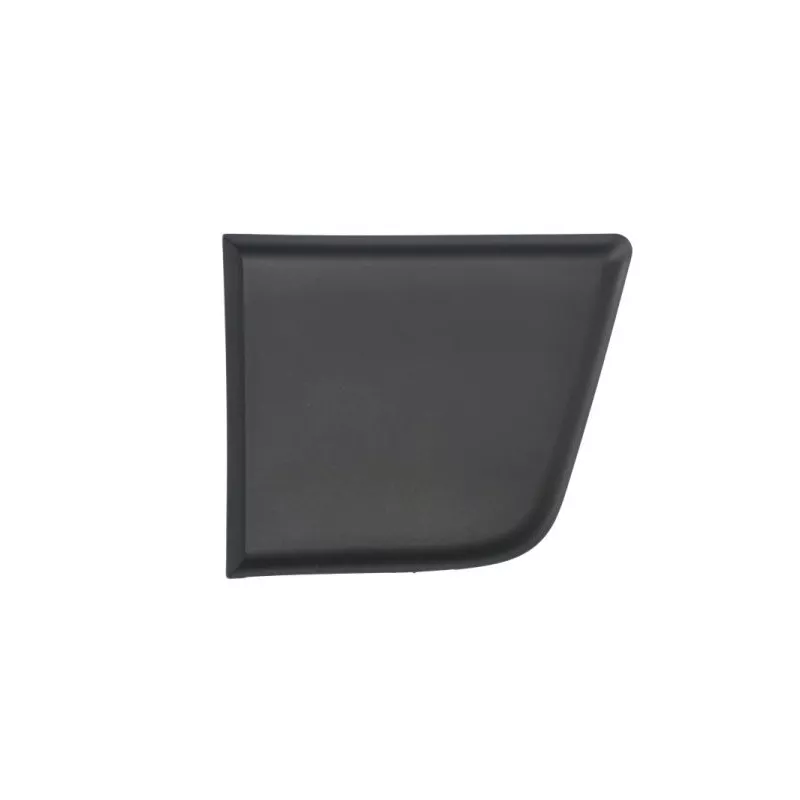 Baguette et bande protectrice, panneau latérale avant gauche BLIC 5703-04-2098581P