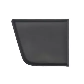 Baguette et bande protectrice, panneau latérale avant droit BLIC