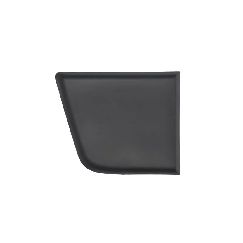 Baguette et bande protectrice, panneau latérale avant droit BLIC 5703-04-2098582P