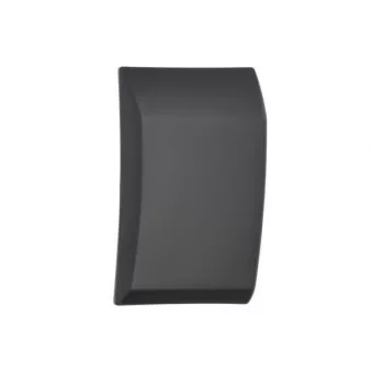 Baguette et bande protectrice, panneau latérale avant gauche BLIC