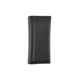 Baguette et bande protectrice, panneau latérale avant droit BLIC