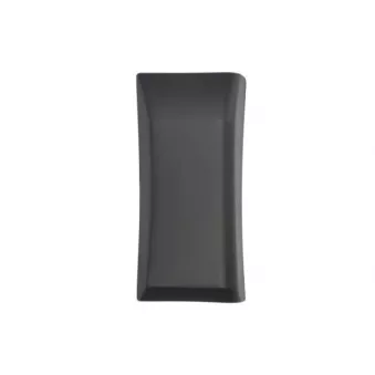 Baguette et bande protectrice, panneau latérale avant gauche BLIC