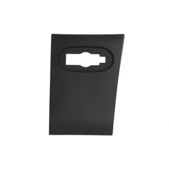 Baguette et bande protectrice, panneau latérale avant gauche BLIC 5703-04-3548581P