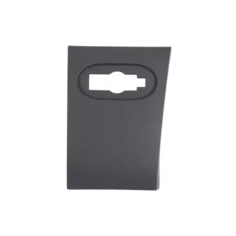 Baguette et bande protectrice, panneau latérale avant gauche (à l'unité) BLIC