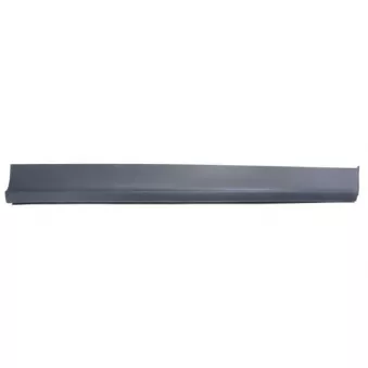 Baguette et bande protectrice, porte avant gauche BLIC