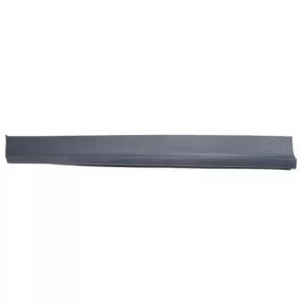 Baguette et bande protectrice, porte avant droit BLIC