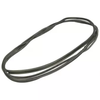 Baguette et bande protectrice, pare-brise avant droit BLIC