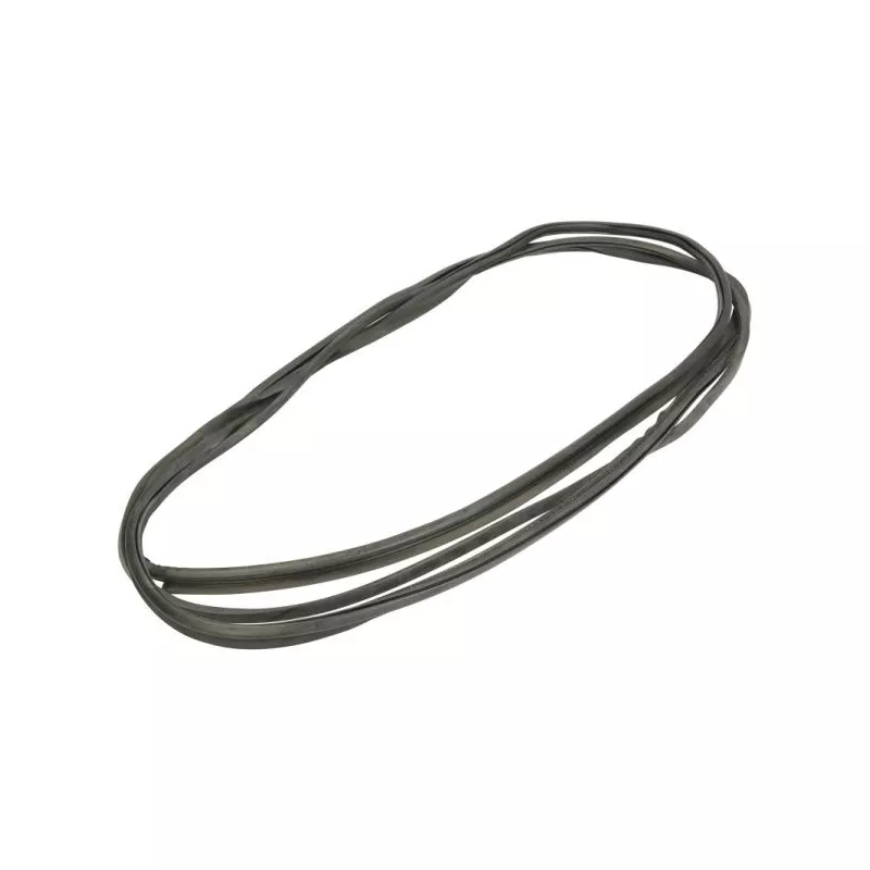 Baguette et bande protectrice, pare-brise avant droit BLIC 5703-04-6037030Q