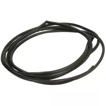 Baguette et bande protectrice, pare-brise avant droit BLIC