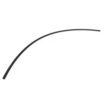 Baguette et bande protectrice, pare-brise avant droit BLIC