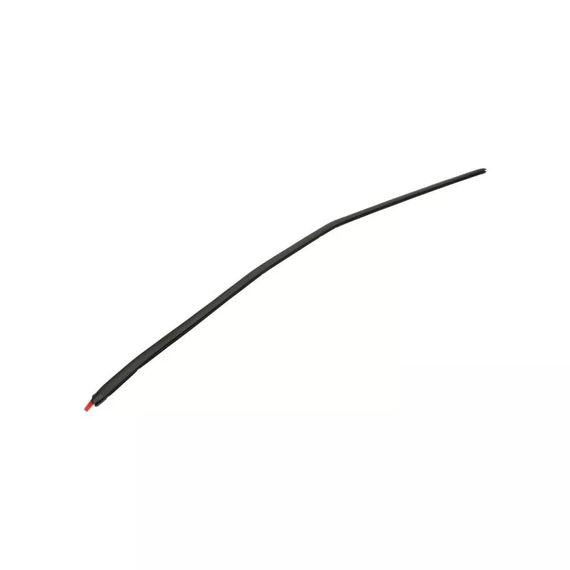 Baguette et bande protectrice, pare-brise avant droit BLIC 5703-04-6037102Q