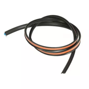 Joint d'étanchéité, pare-brise avant droit BLIC