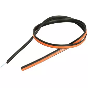 Baguette et bande protectrice, pare-brise avant droit BLIC