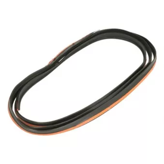 Baguette et bande protectrice, pare-brise avant droit BLIC