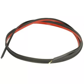 Joint d'étanchéité, pare-brise avant droit BLIC