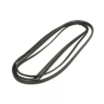 Baguette et bande protectrice, pare-brise avant droit BLIC