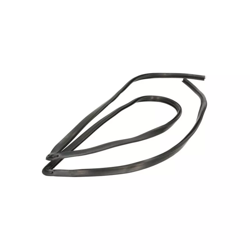 Baguette et bande protectrice, pare-brise avant droit BLIC 5703-04-6037243Q