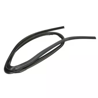 Baguette et bande protectrice, pare-brise BLIC