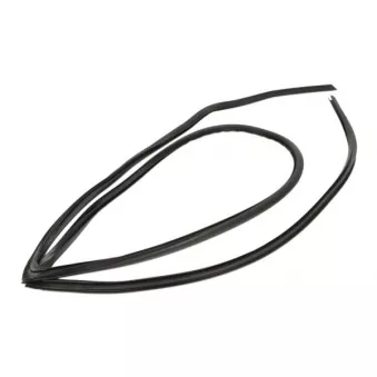 Baguette et bande protectrice, pare-brise avant droit BLIC