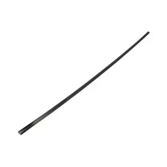 Baguette et bande protectrice, pare-brise avant droit BLIC