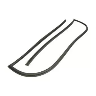 Baguette et bande protectrice, pare-brise avant droit BLIC