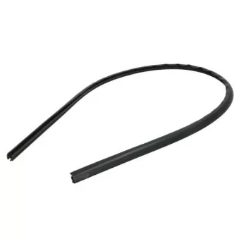 Baguette et bande protectrice, pare-brise avant droit BLIC